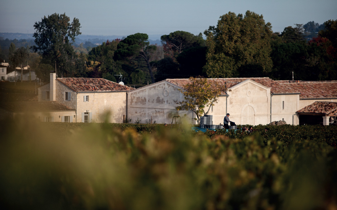 Presse - Château Badette