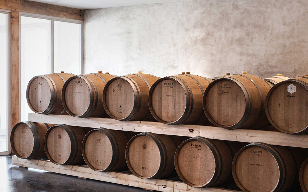 Les vins - Château Badette